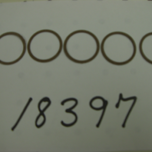 sfe 3/4" Valve Nosepiece Gaskets (5 per package)