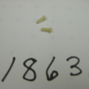 tm Plastic Float Arm Pins (2 per package) (comes in #18313 hardware kit)