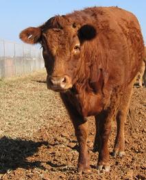 My Ritchie Waterer is my best friend!