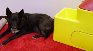 WOW! These folks love their Ritchie waterers